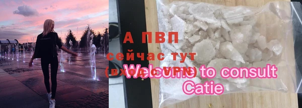 ГАЛЛЮЦИНОГЕННЫЕ ГРИБЫ Гусиноозёрск