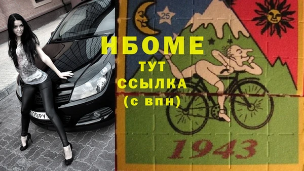 ГАЛЛЮЦИНОГЕННЫЕ ГРИБЫ Гусь-Хрустальный