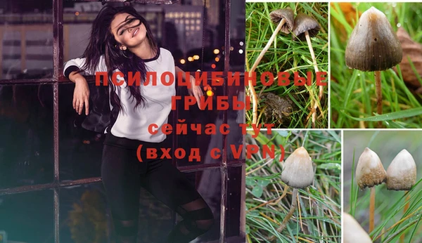 ГАЛЛЮЦИНОГЕННЫЕ ГРИБЫ Гусиноозёрск