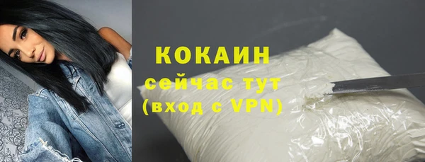 ГАЛЛЮЦИНОГЕННЫЕ ГРИБЫ Гусиноозёрск