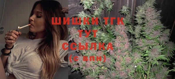 ГАЛЛЮЦИНОГЕННЫЕ ГРИБЫ Гусь-Хрустальный