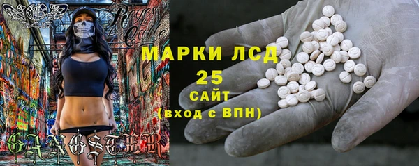 ГАЛЛЮЦИНОГЕННЫЕ ГРИБЫ Гусиноозёрск