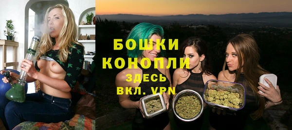 экстази Гусев