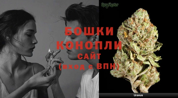 экстази Гусев